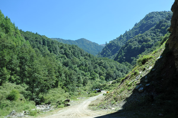 The forest-covered hills and mountains of Bhutan are beautiful