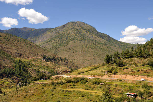 Terraced fields south of Thimphu