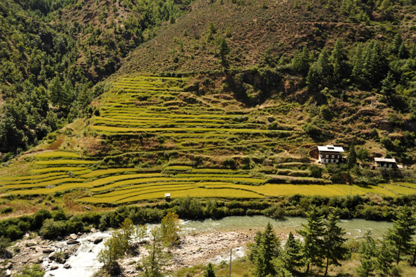 In a country with little flat land, terraces are important features for agriculture