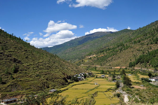 Wang Chhu Valley just south of Thimphu