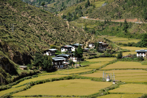 A small village with rice fields near Thimphu