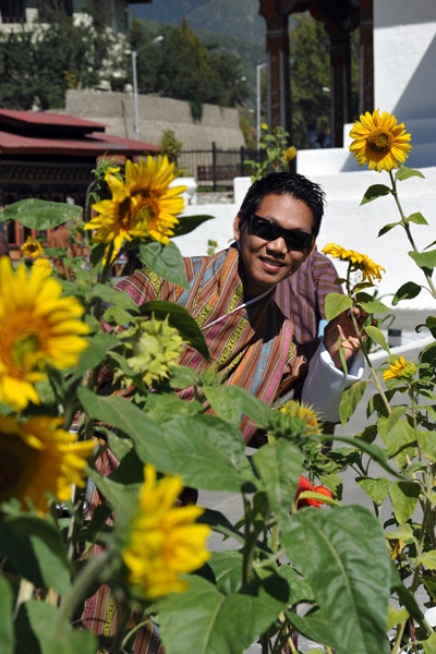 Dennis and sunflowers