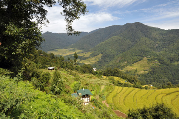 Descending into the agricultural area with its rice terraces