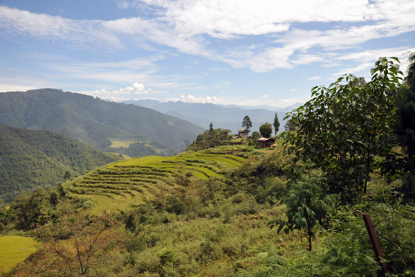 Rice Terraces along the National Highway