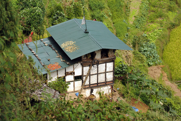 Bhutanese farmhouse