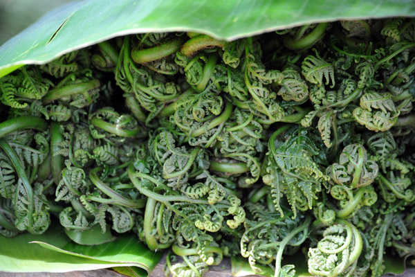 Strange vegetables, Bhutan