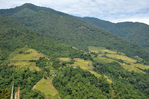 View of terraced fields from the Trashigang-Semtokha Highway, Bhutab