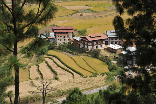Large farmhouses near Chimi Langkhang