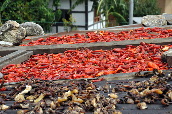 Chiles drying on a rooftop