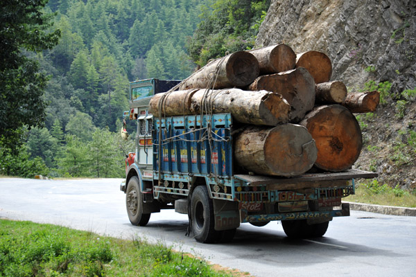 Logging is severely restricted in Bhutan