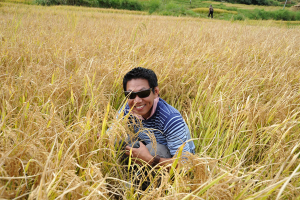 Dennis in a field of rice
