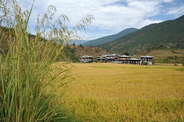 The next village across the rice fields