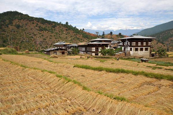 Bhutan is not self-sufficient in rice production - the balance is imported from India