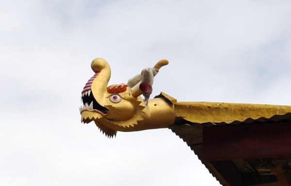 Dragon shaped spout on the corner of the temple roof