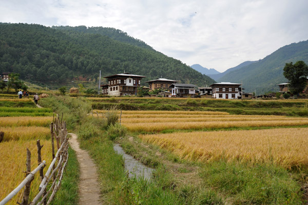 Path back to the village of Lobesa