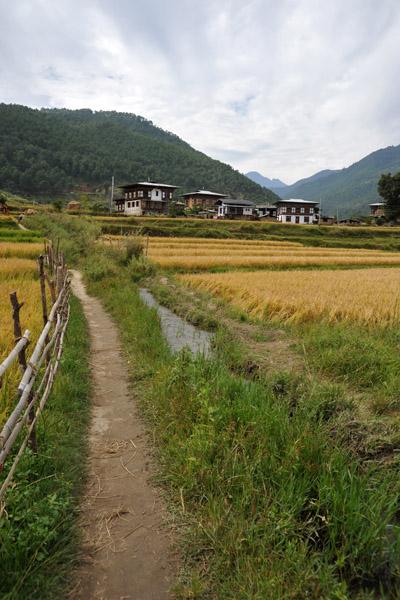 Path along an irrigation canal