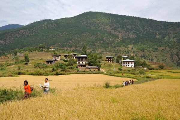 Villagers passing through the fields
