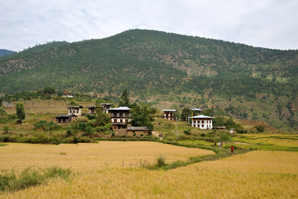 Looking back, Chimi Lhakhang is on the hillside beyond the village