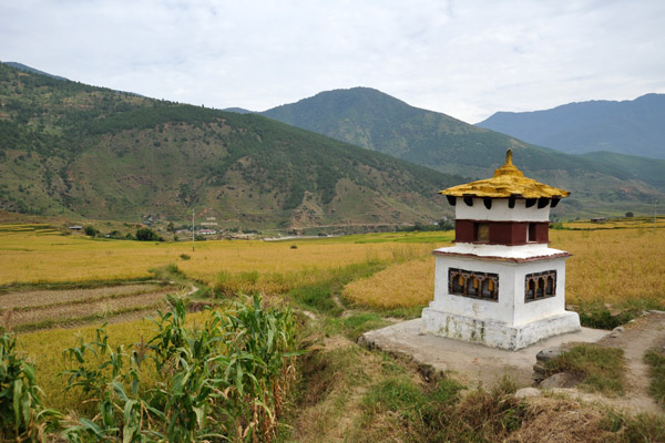 Stupa in the rice fields around Lobesa