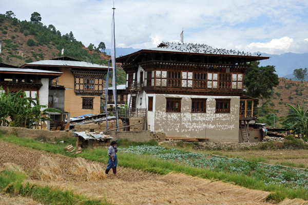 Bhutan farming village at harvest time