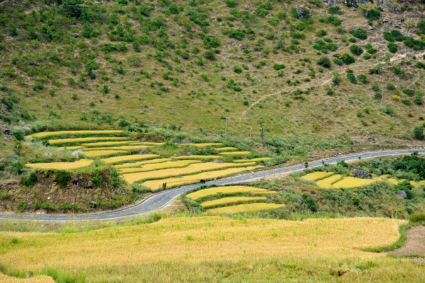 The road to Punakha