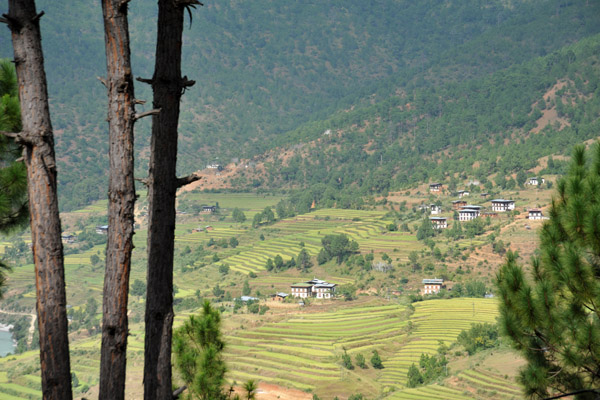 View from our chalet at Chalet of the Zangdhopelri Hotel, Punakha