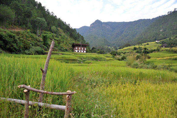 A lonely farm house on the edge of the rice terraces