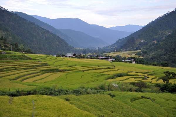 Looking down the valley towards Punakha