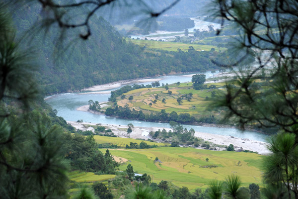 The Mo Chhu, Mother River, as it flows downstream towards Punakha Dzong where it will join the Pho Chu, Father River