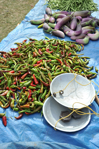 A simple scale for weighing the chilis