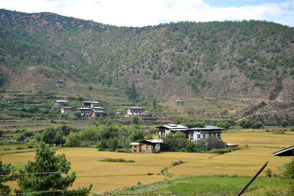 Fields and farmhouses southeast of Paro