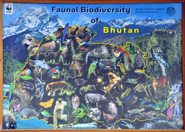 Faunal Biodiversity of Bhutan - outline of Bhutan with photographs of its native animals on a background of the Himalaya, Paro