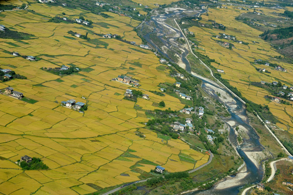 Rice fields and farm houses along the river northwest of Paro