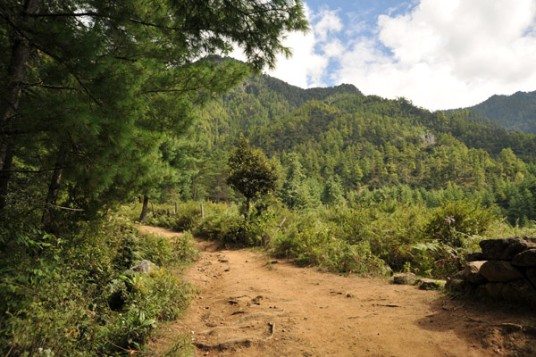 The hike to the Tigers Nest should take just under 2 hours