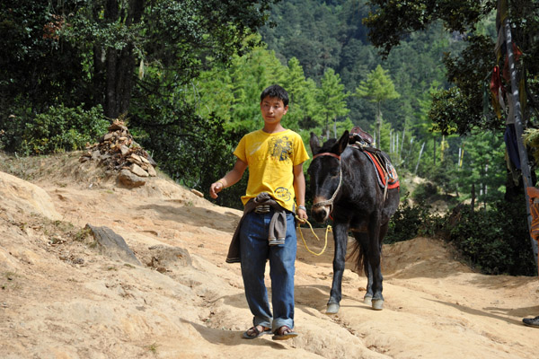 A boy leads a horse down the Tiger's Nest trail