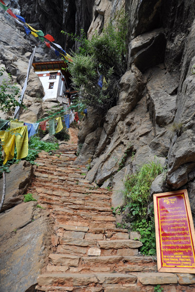 Steep stairs leading to the Snow Lion Cave