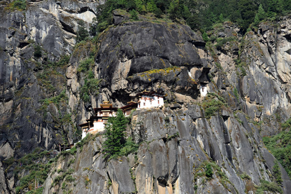 View of the Tiger's Nest from the Tea House