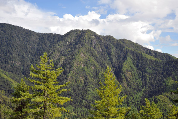 Forest covered mountains around the Tiger's Nest