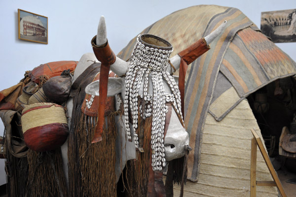 Pack-Bull of Baggara Arabs restricted today to the savannah between Kordofan and Lake Chad