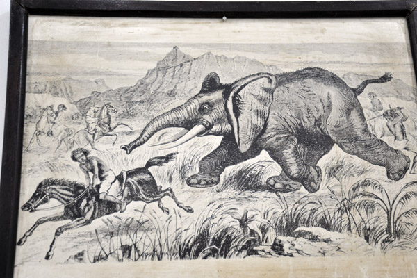 Engraving of an elephant hunt by Hamran Arabs and Beja - swordsman attempts to cut the tendons to cripple the angry elephant