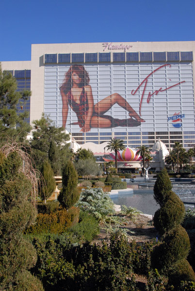 Tina Turner at the Flamingo, Las Vegas