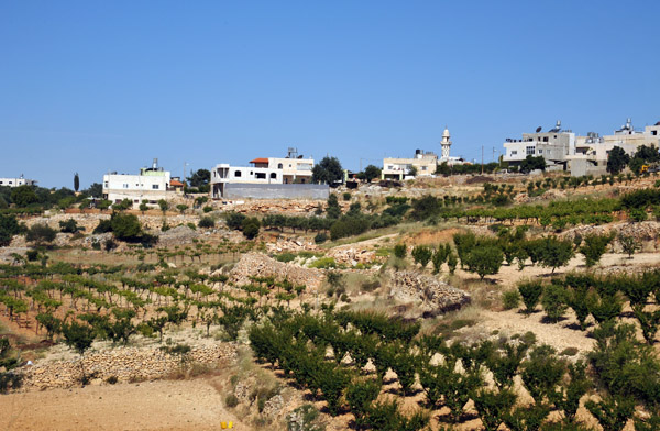 Fertile area of the West Bank north of Hebron