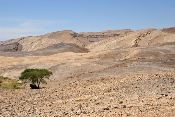 Negev Desert along Route 25