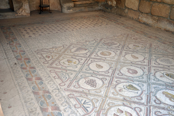 Byzantine mosaic floor, Church of Dominus Flevit, Mount of Olives