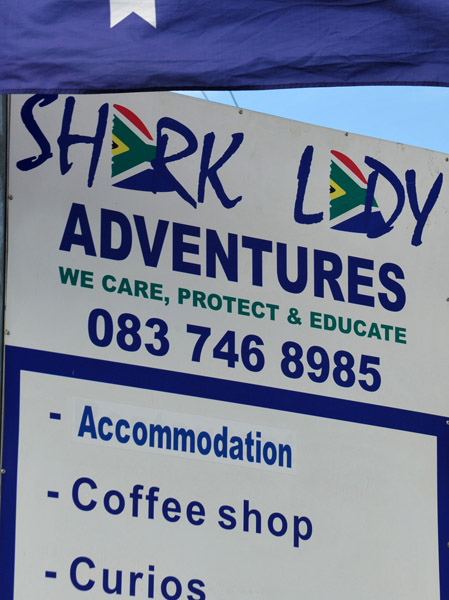 Shark Lady Adventures