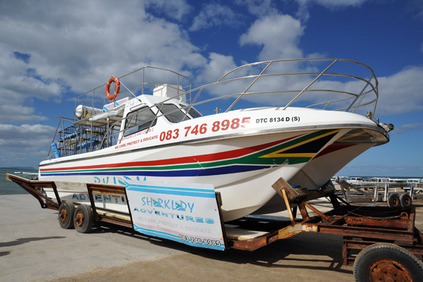 Shark Lady Adventures, Gansbaai