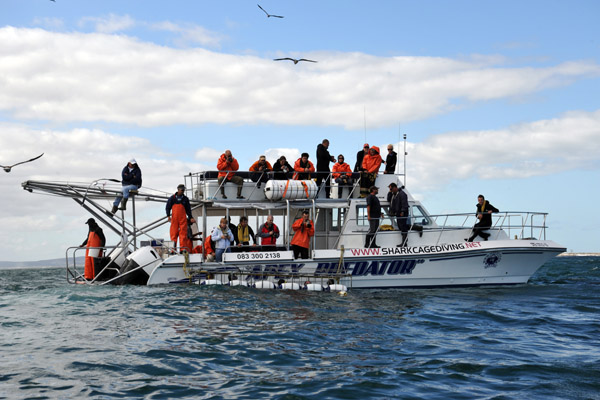 Shark cage dive boat Apex Predator
