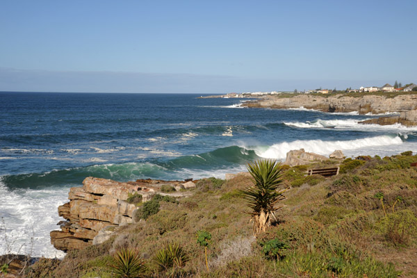 Hermanus - the first whales usually arrive in August