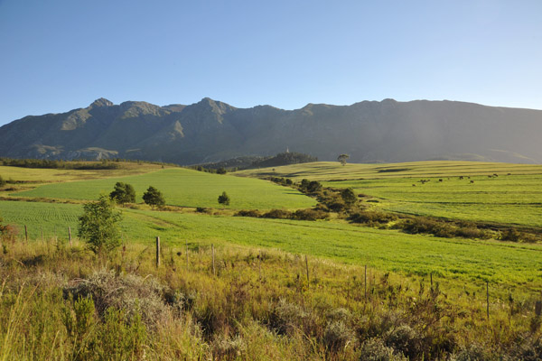 Green rolling hills and mountains outside Swellendam