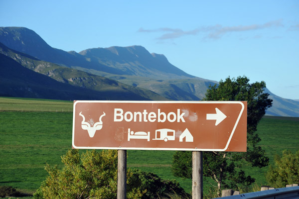 Bontebok National Park near Swellendam